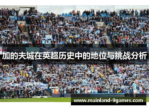 加的夫城在英超历史中的地位与挑战分析